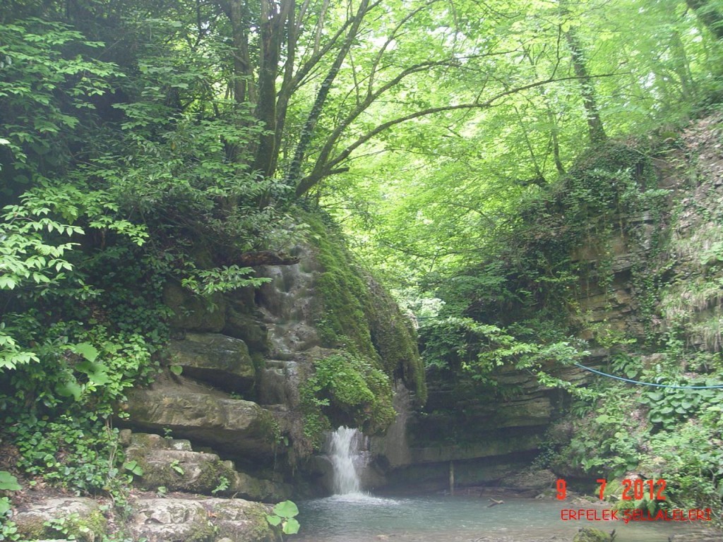 DSC07523.JPG