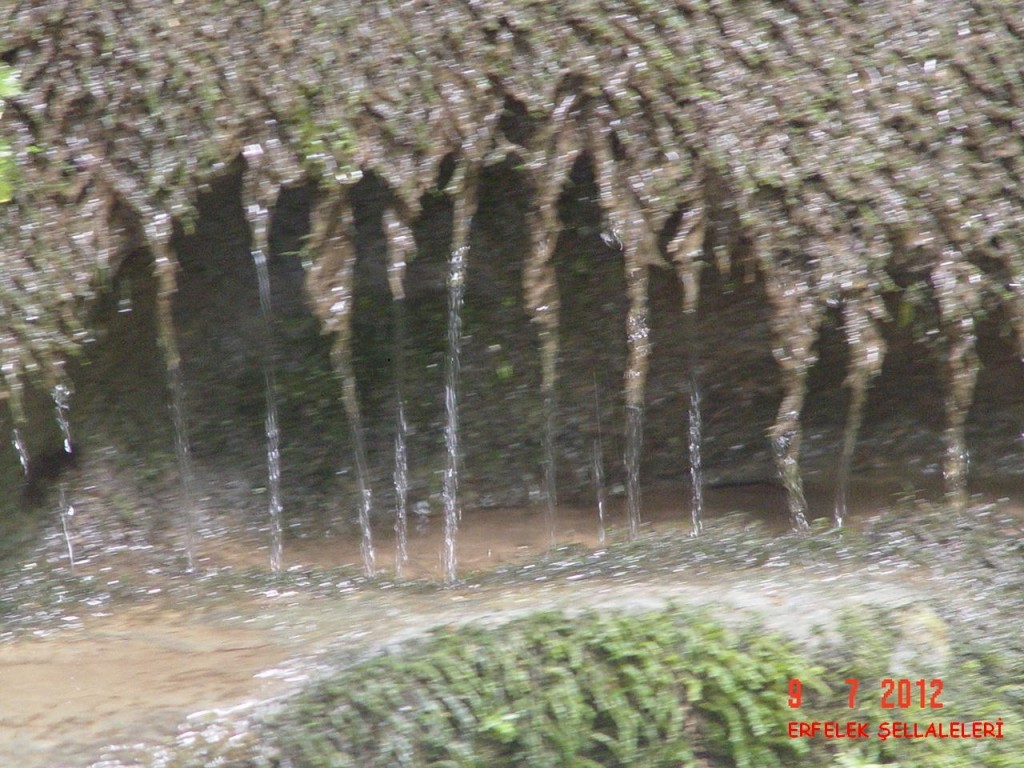 DSC07535.JPG
