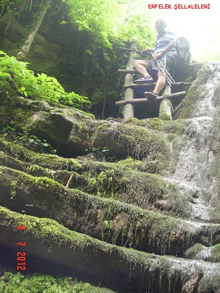 DSC07542.JPG