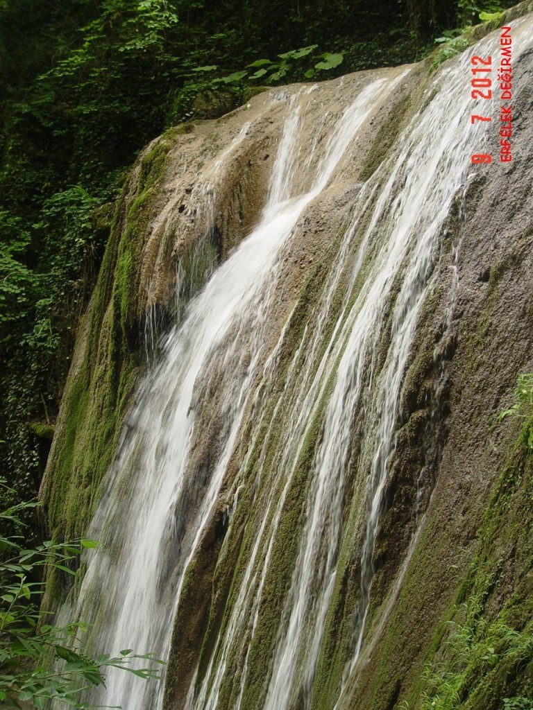 DSC07555.JPG