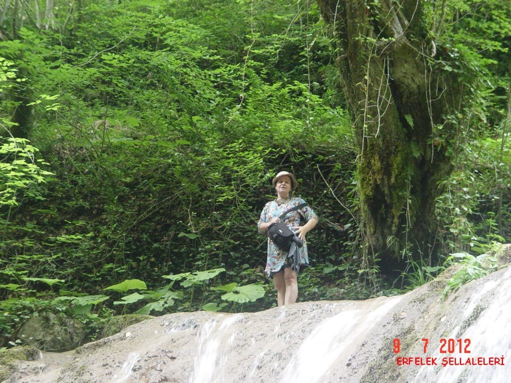 DSC07558.JPG
