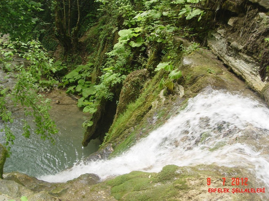 DSC07560.JPG