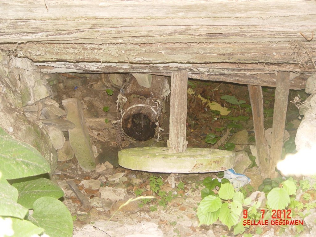 DSC07599.JPG