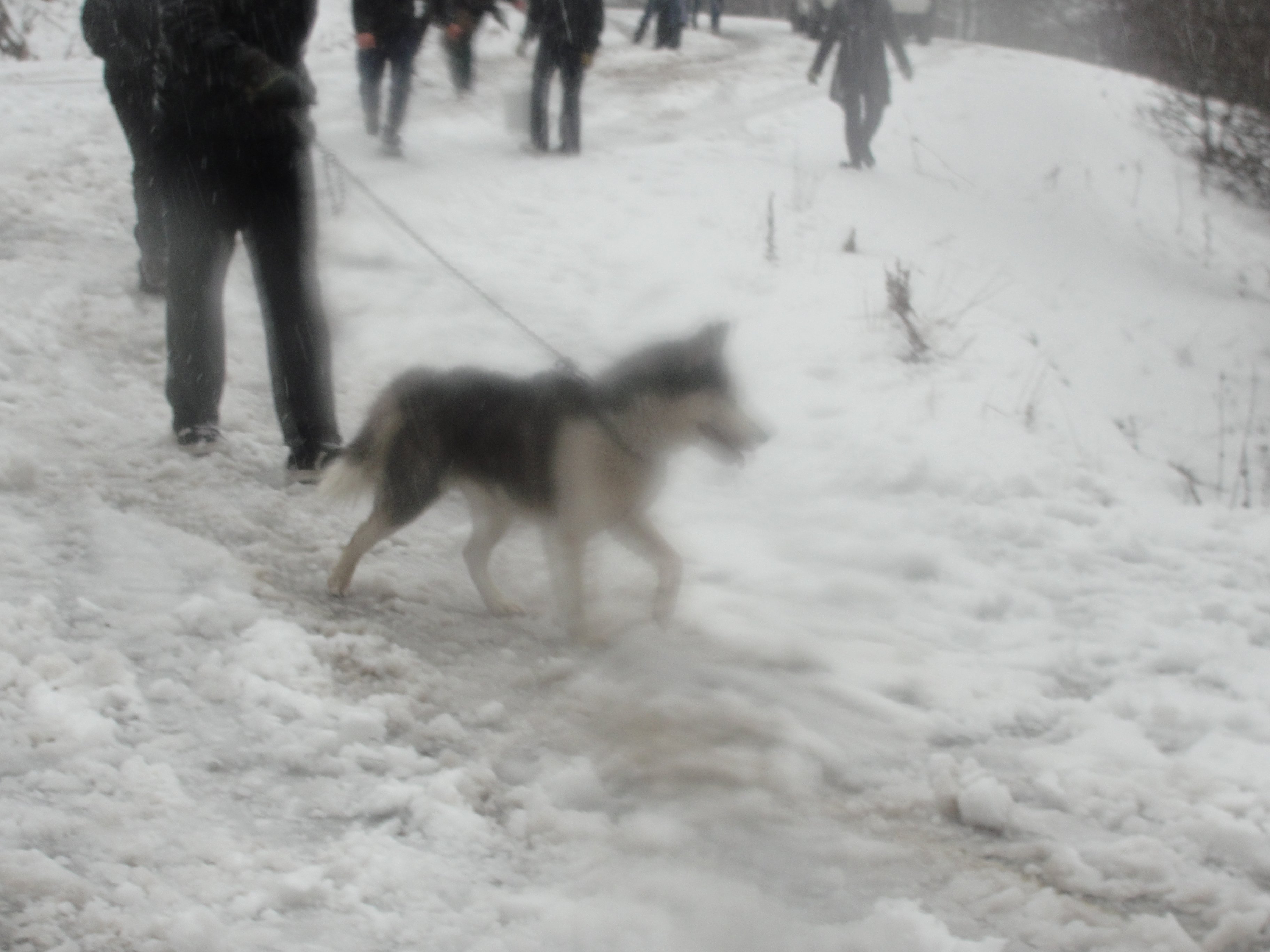 DSC07683.jpg