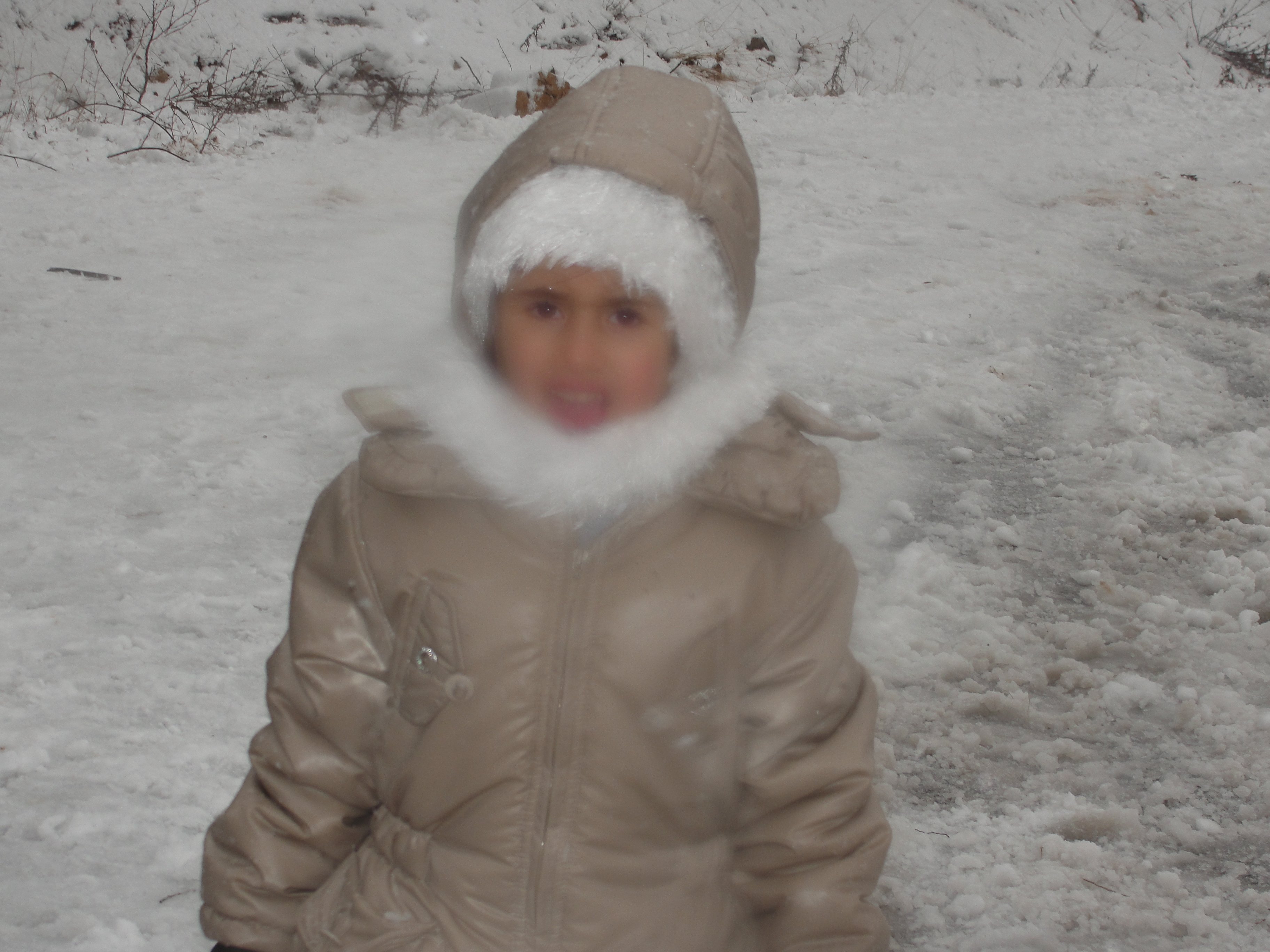 DSC07684.jpg