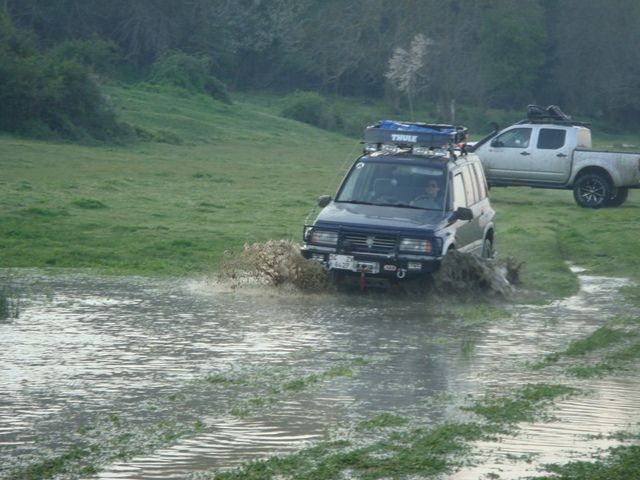 DSC07742.jpg