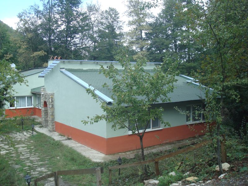 DSC07753.jpg