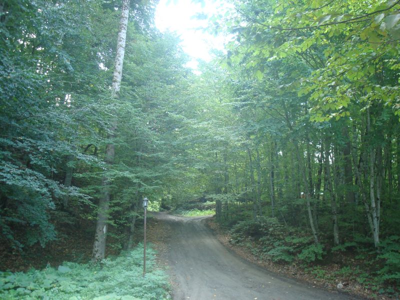 DSC07760.jpg