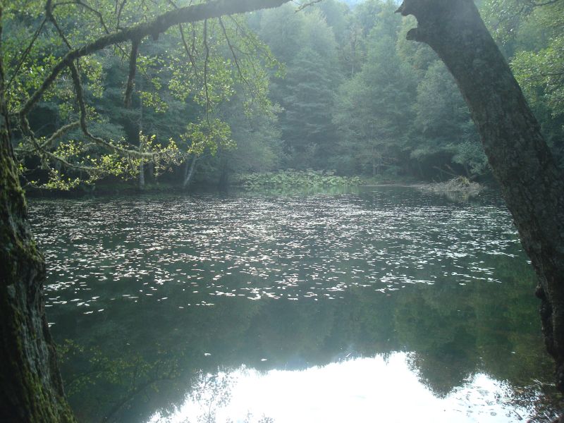 DSC07764.jpg
