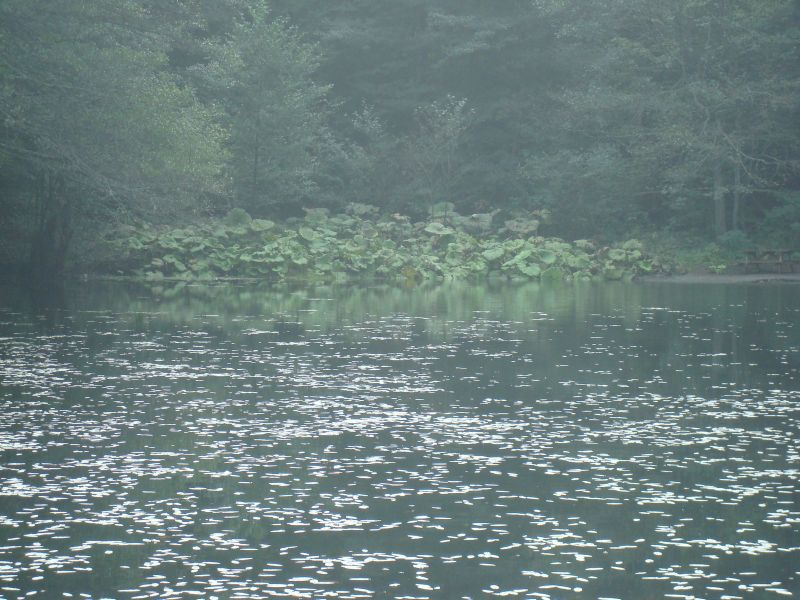 DSC07765.jpg