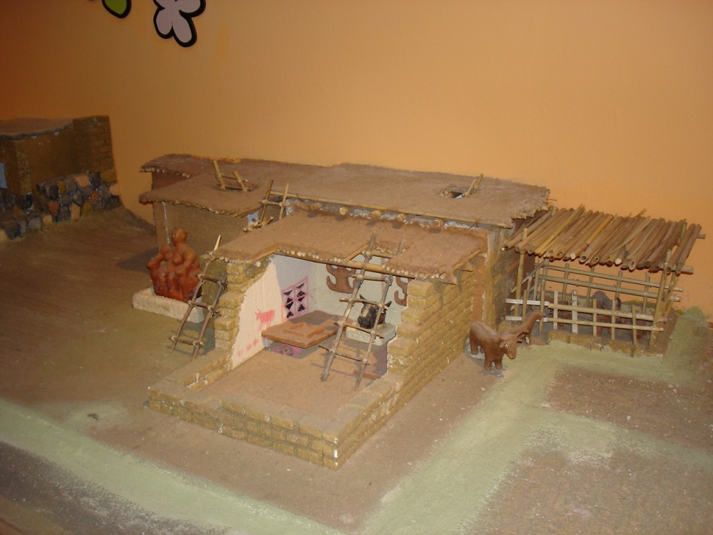 DSC07794.JPG
