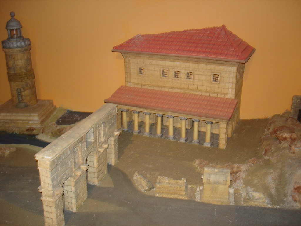DSC07798.JPG