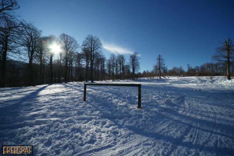 DSC07801.jpg