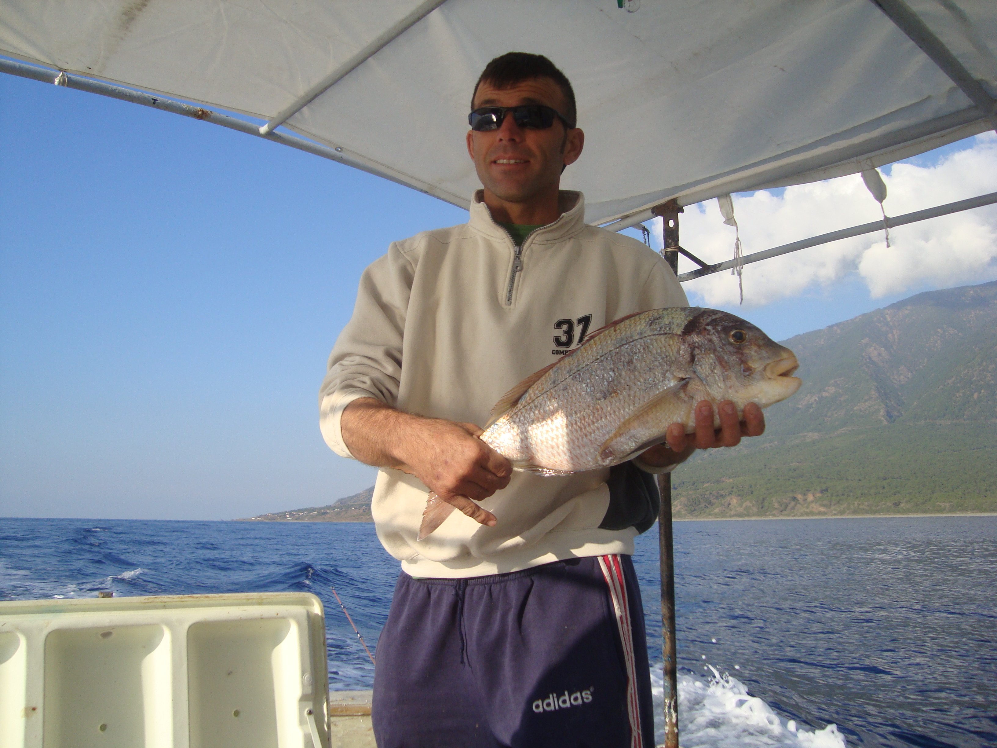 DSC07895.jpg