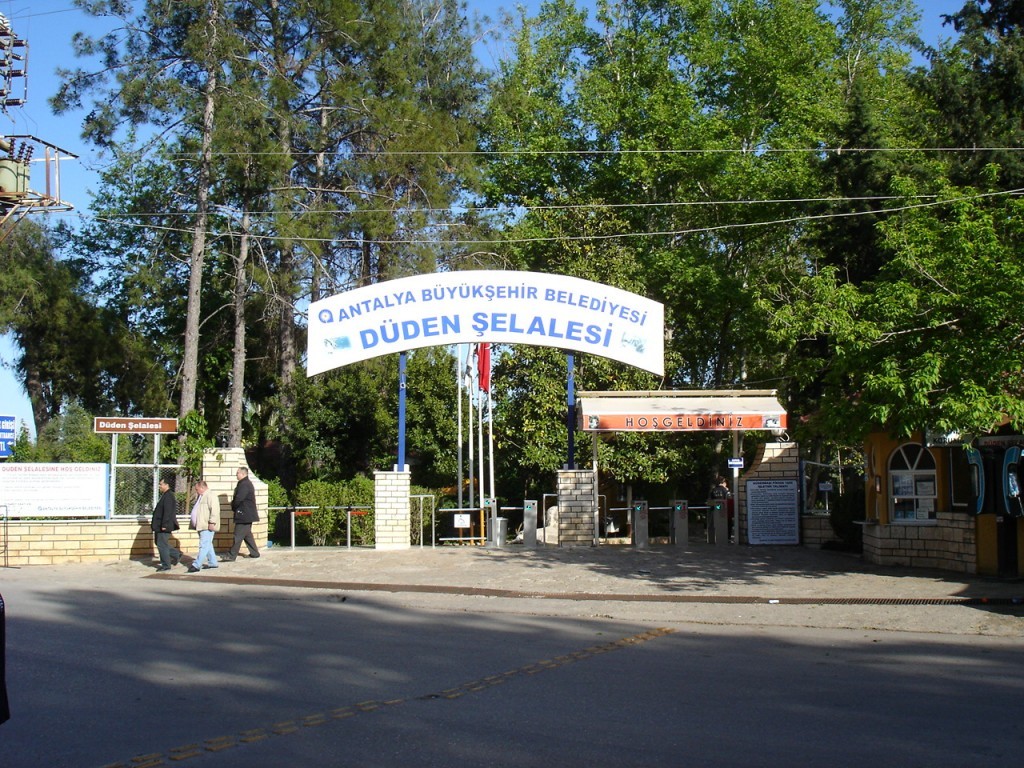 DSC07952.JPG