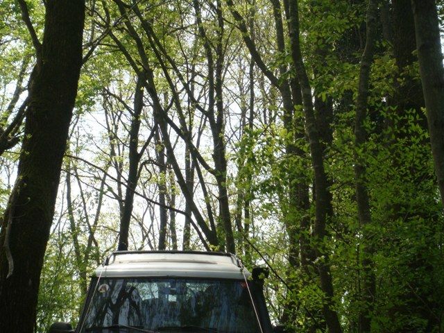 DSC07959.jpg