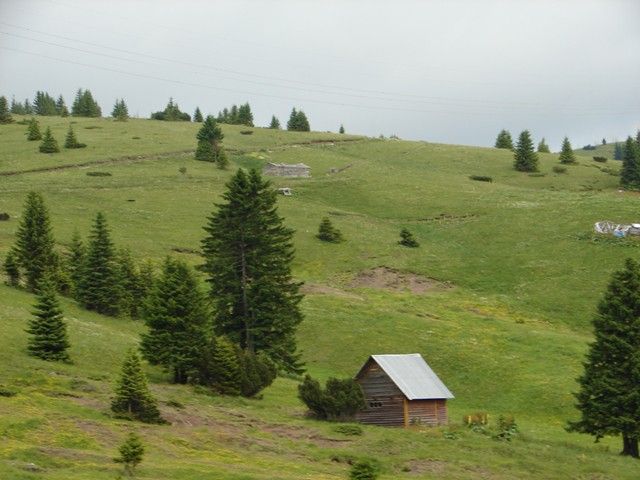 DSC07973.jpg