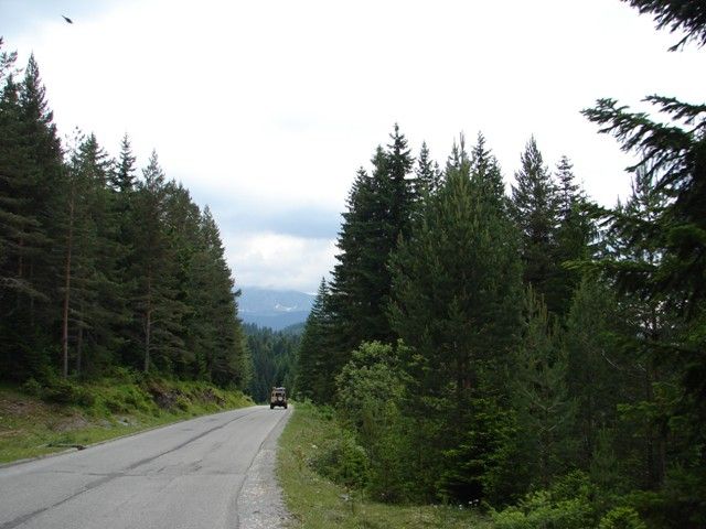 DSC07993.jpg