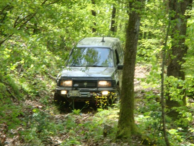 DSC08003.jpg