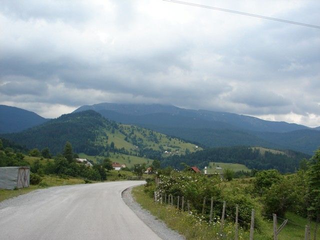 DSC08003.jpg