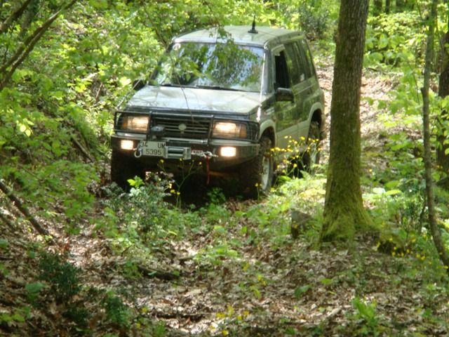 DSC08004.jpg