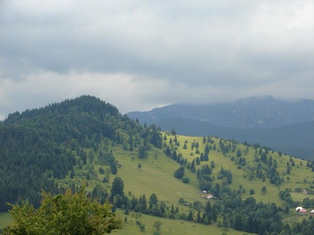 DSC08009.jpg