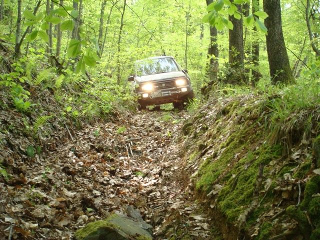 DSC08027.jpg