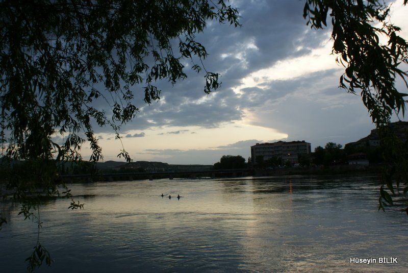 DSC08031.jpg