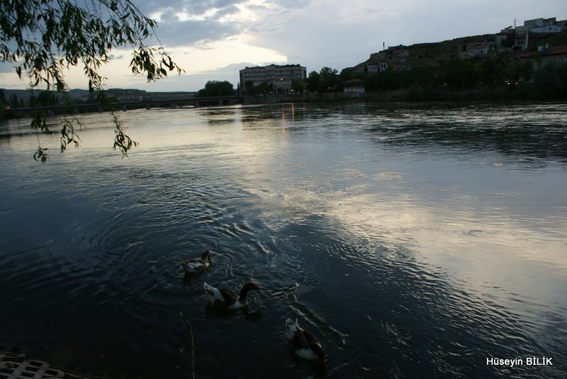 DSC08039.jpg