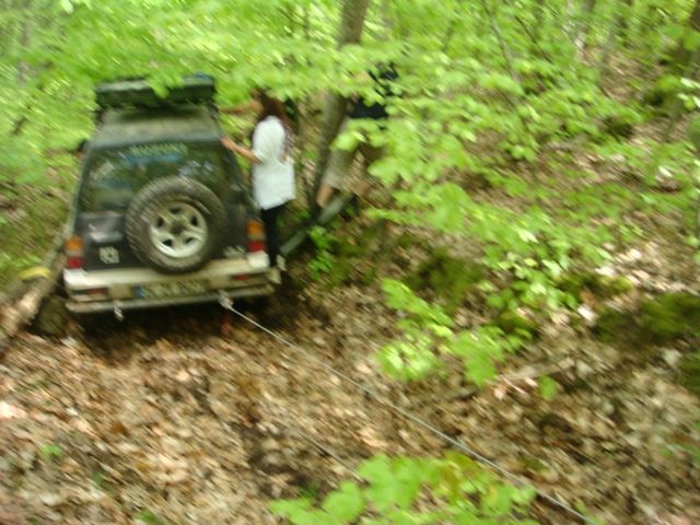 DSC08042.jpg