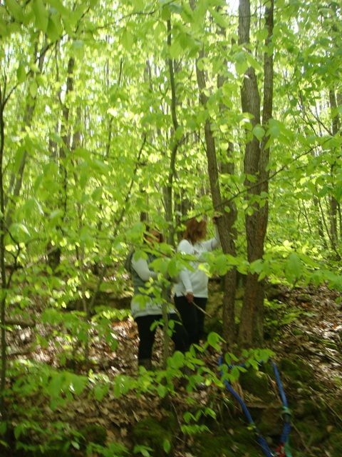 DSC08052.jpg