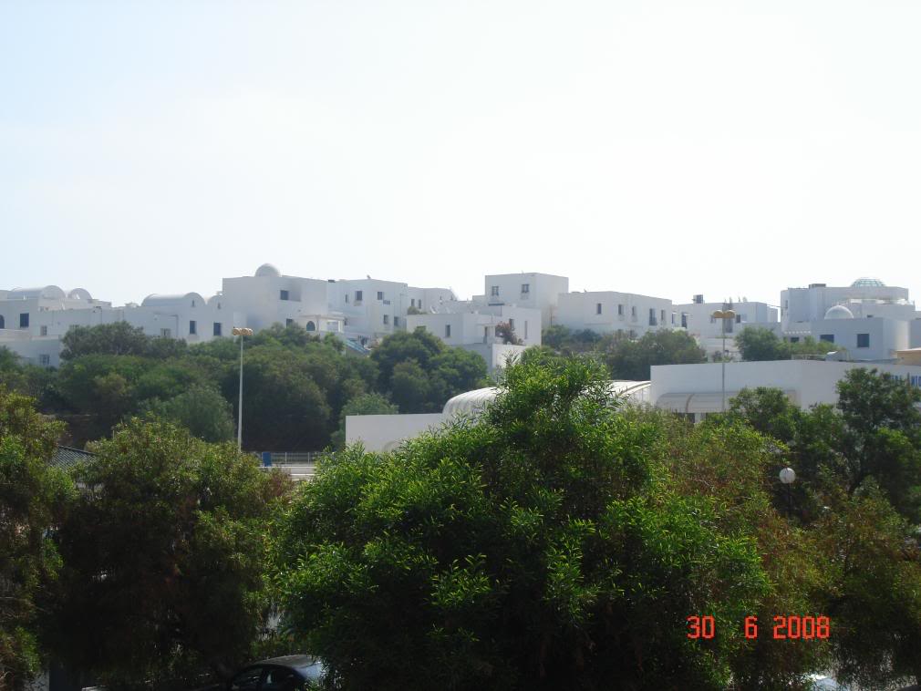 DSC08068.jpg
