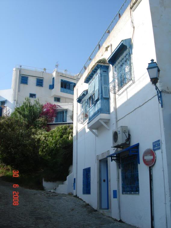 DSC08087.jpg
