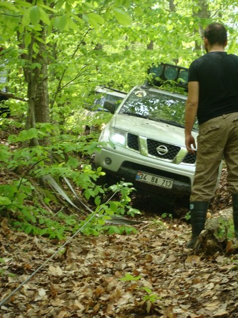 DSC08094.jpg