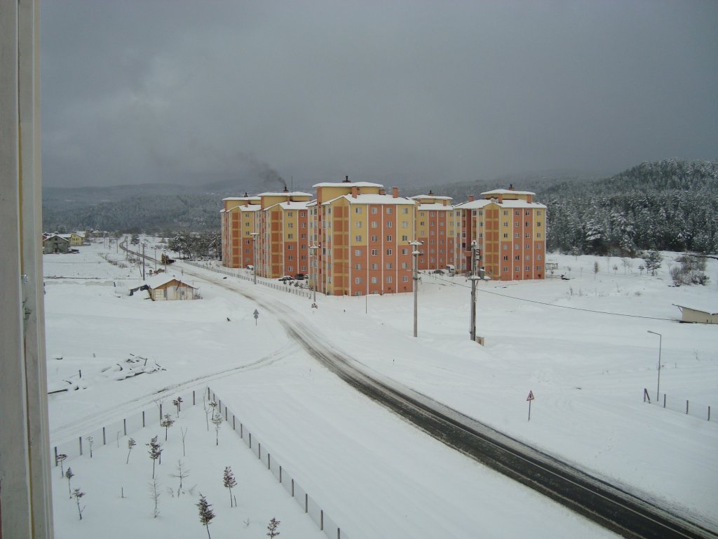 DSC08094.JPG