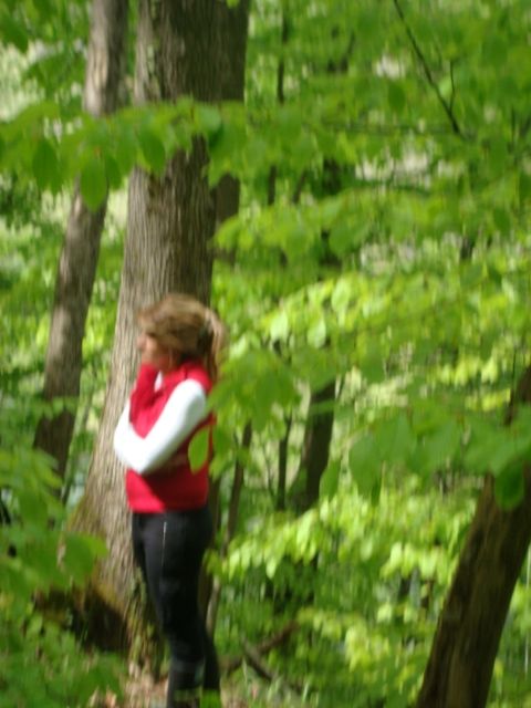 DSC08095.jpg