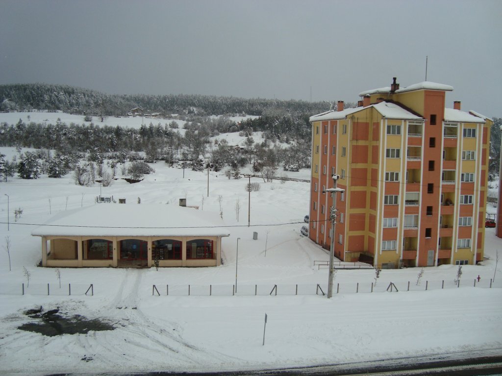 DSC08095.JPG