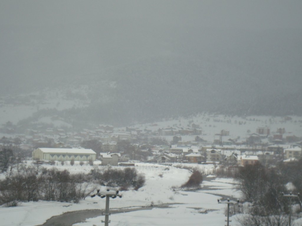 DSC08097.JPG