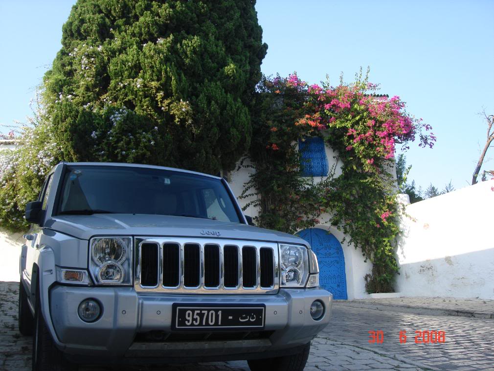 DSC08103.jpg