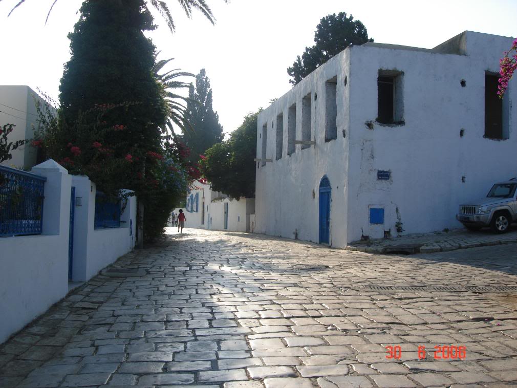 DSC08114.jpg