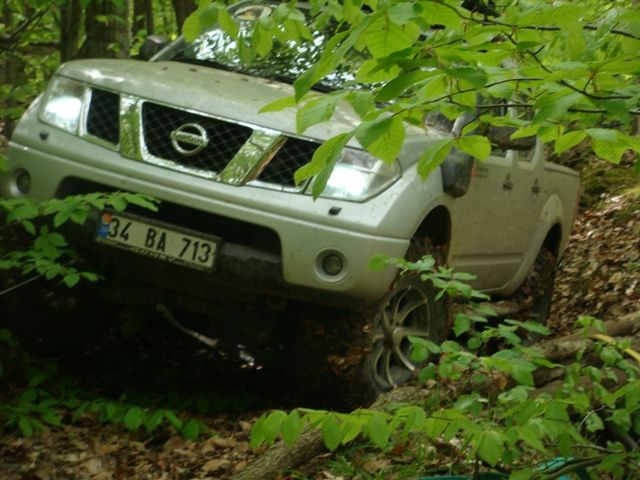 DSC08123.jpg