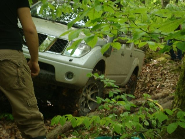 DSC08126.jpg