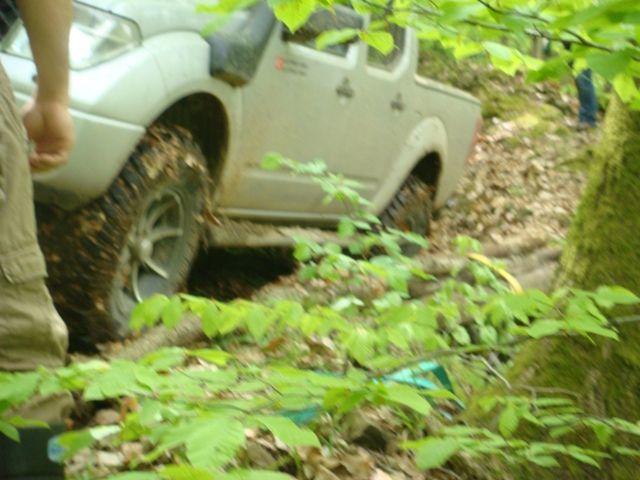 DSC08136.jpg