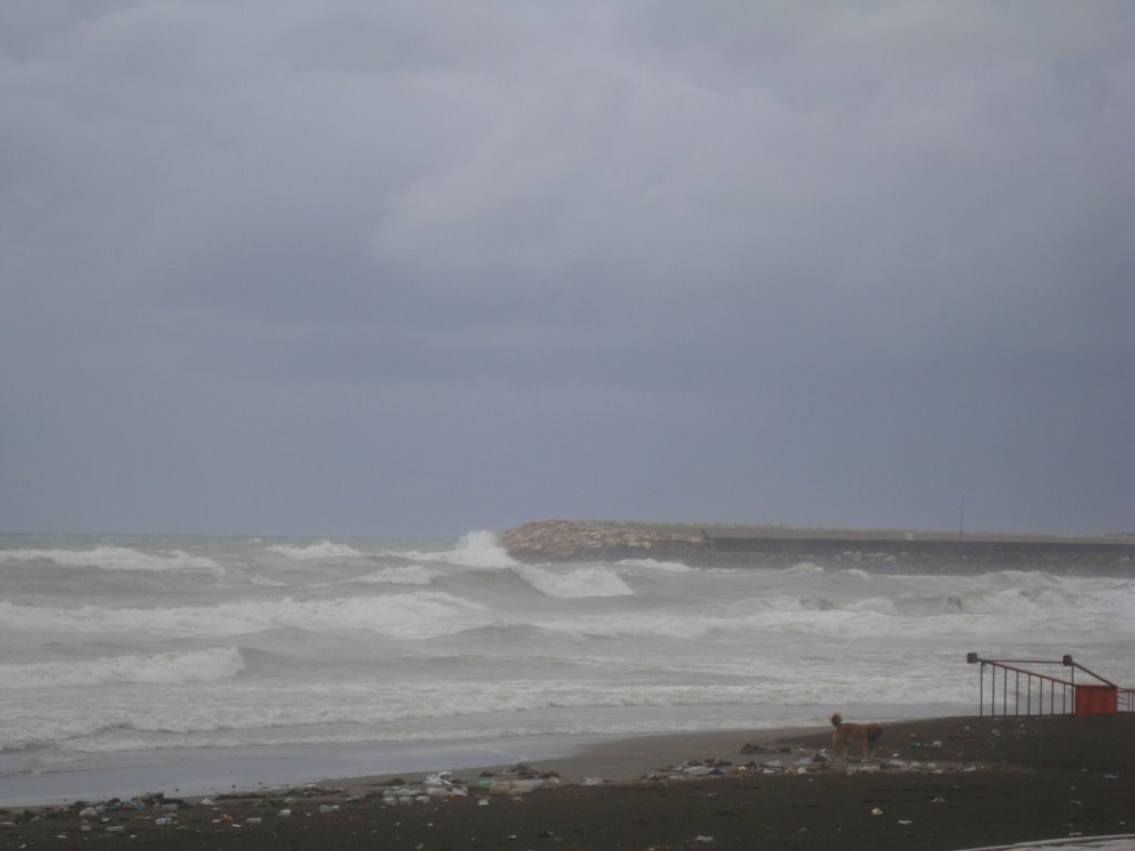 DSC08147.jpg
