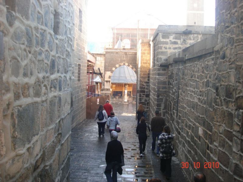DSC08152 [Desktop Resolution].jpg