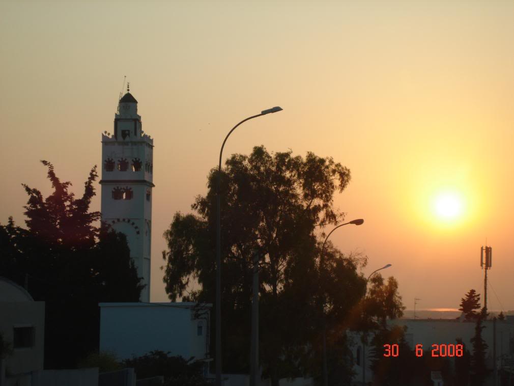 DSC08153.jpg