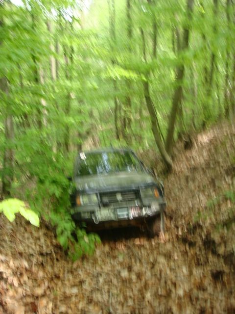 DSC08159.jpg