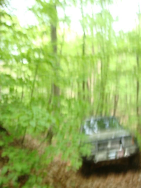 DSC08161.jpg