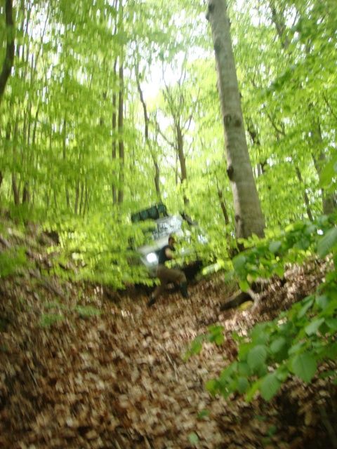 DSC08164.jpg