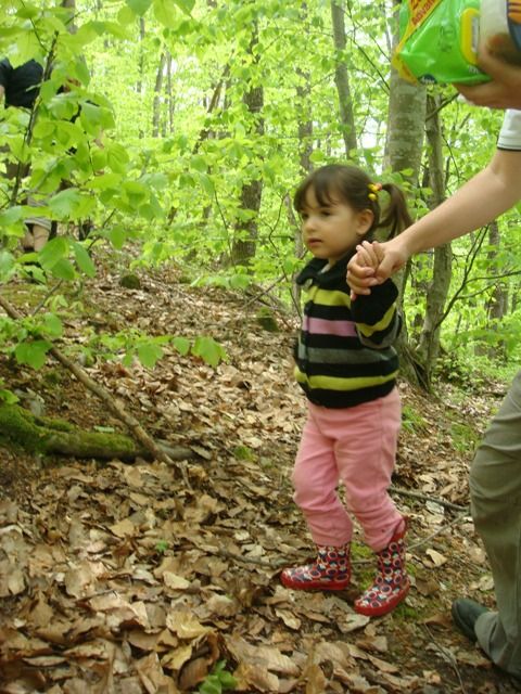 DSC08186.jpg